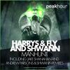 Manhunt (Jake Shanahan Remix) - Harrys & Fly&Shwann