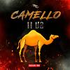 Camello II V2 - InclanMx