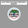 Memory (Magik Remix) - Alex Torn&Princesse V