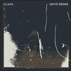 Scars (Ukiyo Remix) - Ukiyo&Yoke Lore&Hazey Eyes&Adrian Galvin&Thomas Michel