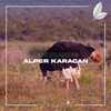 Ignorance - Alper Karacan&Satsuma Music