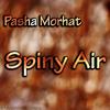 Spiny Air - Pasha Morhat