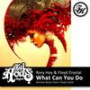 What Can You Do (Bronx Cheer Remix) - Rory Hoy&Floyd Crystal