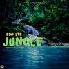 Jungle - Dboi Ltd&Spencer Shay&Deborah