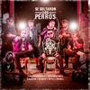 Se soltaron los perros(feat. Gamero & Wais, blanco el fantastico, Nyto, Sniwel & Dnahian) - Tonysamdungueo&Gamero&Wais&Blanco El Fantástico&Nyto&Sniwel&Dnahian