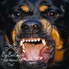 Dive (Original Mix) - Giu Montijo