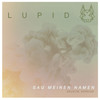 Sag meinen Namen (Akustik Version) - Lupid