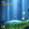 Underwater (Edson Borth Remix) - Fur DJ's