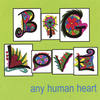Any Human Heart - Big Love