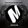 Dark Horse (Original Mix) - Tony Ryan