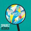 Mr. Mystery(feat. Jessica Ashley) - Spadez&Jessica Ashley