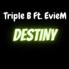 Destiny(feat. EvieM) (Explicit) - Triple B&EvieM