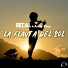 La Flauta del Sol (Aurelien Stireg Remix Edit) - SECAL&Andy Cley