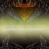 Working Memory - Psilocybe Project&Myrah&D_Maniac