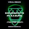Somebody's Pleasure Soul Try To Figure It Out (Tik Tok Edit) (Remix) - Green Neon DJ