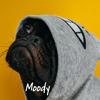Moody (feat. Kideko, TCTS & Just Kiddin) (Explicit) - Weidd&Kideko&TCTS&Just Kiddin