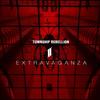 Extravaganza (Continuous Mix) - Township Rebellion