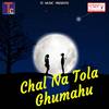 Chal Na Tola Ghumahu - Punnu Raj&Tijan Patel