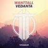 Vedanta (Original Mix) - Wanttall