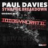 Synaptic Breakdown (Original Mix) - Paul Davies