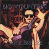 Why Oh Why - Big Mountain