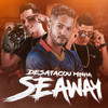 Desatacou Minha Seaway (Explicit) - MC Ricardinho&Labra stylos&Diogo no Beat