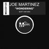 Wondering (Soft Air Mix) - Joe Martinez