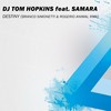 Destiny (Branco Simonetti, Rogério Animal Remix Edit) - DJ Tom Hopkins&Samara