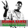Wicked Inna Bed - Shabba Ranks