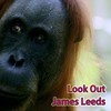 Look Out - James Leeds