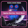 Dark Moon (Pasha Shock Remix) - Agniya Barrley&Pasha Shock