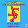 En Mis Brazos (Radical One Remix) - Tittsworth&Radical One&DJ Blass&Dave Nada