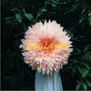 Could Be(feat. Jenny Mayhem) - Tom Heitz&Jenny Mayhem