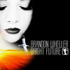The Future (Tatsama Remix) - Brandon Wheller&Tatsama