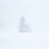 Winter - Tiers