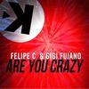 Are You Crazy (Radio Edit) - Felipe C&Gigi Fuiano