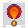 Particular Skill (Franzis-D Remix) - Manu F