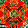 21 Gun Salute(feat. Hakim Be) (Explicit) - Ras Elijah Tafari&Ras Illy&Hakim Be