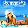 Down Down Down (Miami to Ibiza Beach House Mix) - Dj Beachshaker