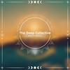 Love Vibration (Darles Flow Remix) - NatureVibes&Darles Flow