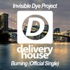 Gyroscope (Original Mix) - Invisible Dye Project