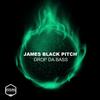 Lier - James Black Pitch