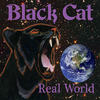 Night Owl - BLACK CAT