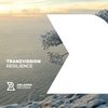 Resilience - Tranzvission