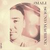 Vintage Sound Machine (Original Mix) - #Mali