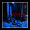 Harden(feat. Liaz) (Explicit) - Aron&Liaz