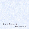 Love Theme - Lee Scott