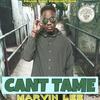 Can't Tame - Marvin Lee