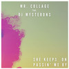 She Keeps On Passin' Me By(feat. DJ Mysterons) - Mr. Collage&DJ Mysterons