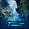 Dream Again(Tritonia 324) (Original Mix) - Taylor Torrence&Tara Louise